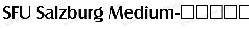SFU Salzburg Medium字体转换